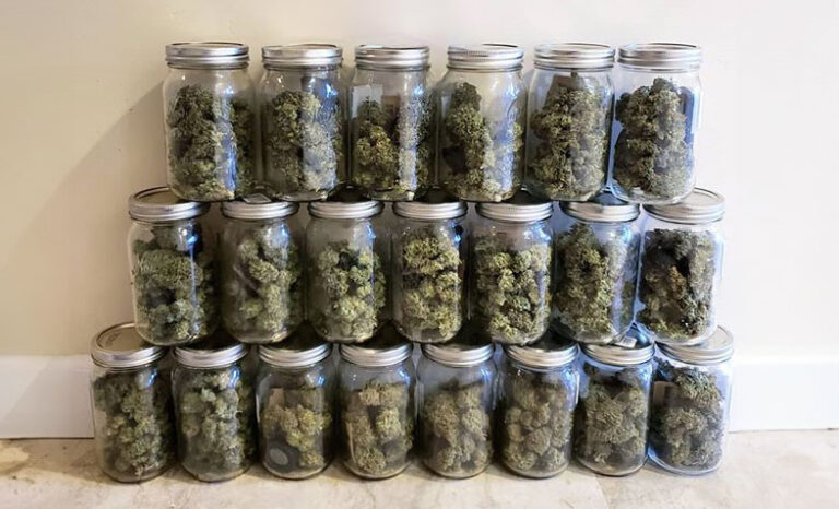 Premium cannabis flower delivered by Night Owl Cannabis in Montreal